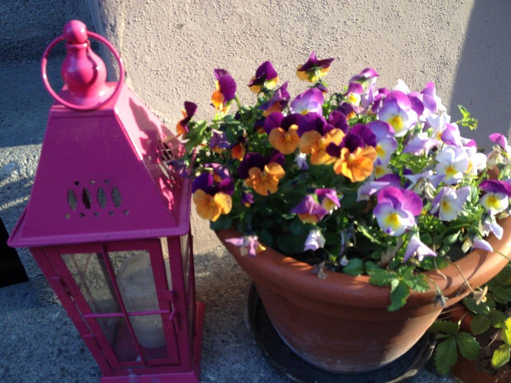 بازل B&B La Vie En Rose المظهر الخارجي الصورة