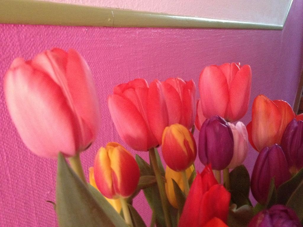 بازل B&B La Vie En Rose المظهر الخارجي الصورة